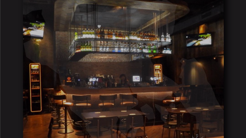 thewallsaloonperformance