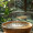 40 Dakika Masaj+Kese Kopuk - 40 Minutes Massage + Scrub