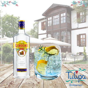 Gordons Gın 8Cl. (Duble)