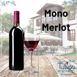 Mono Merlot 75 Cl.
