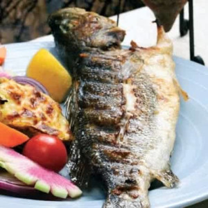 IZGARA ŞİŞ LEVREK