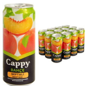 Cappy Meyve Suyu