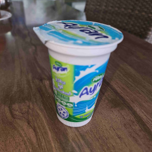 Ayran (20 Cl.)