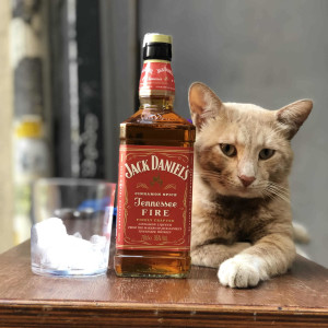 Jack Daniel's (Fire) Shot