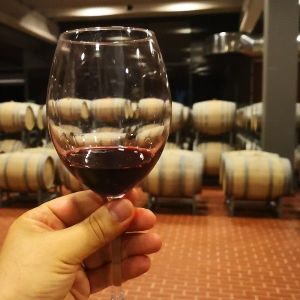 Kırmızı Kadeh Şarap