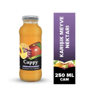 Meyve Suyu Cam Şişe 250 ml