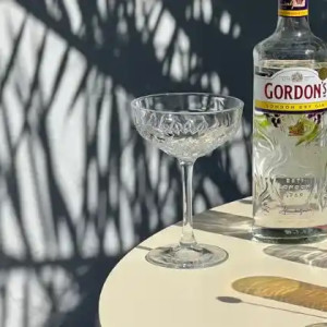 (5cl) Gordon's London Dry Gin