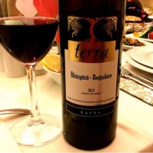 Kavaklıdere Egeo Syrah