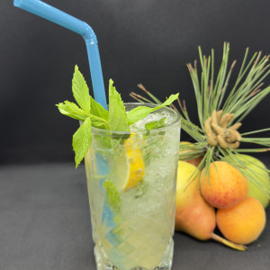 Çilekli Mojito