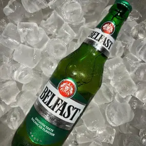 Efes Belfast Şişe