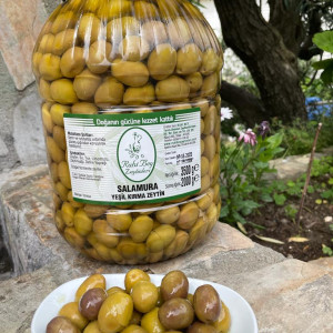 Yeşil Domat Kırma Zeytin 3,5 kg