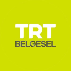 13 - TRT BELGESEL