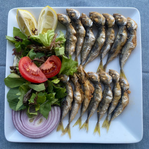 İSTAVRİT 