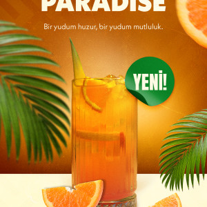 PARADİSE