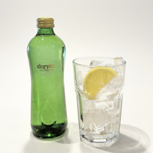 Sade Soda (Cam Şişe)
