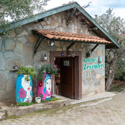 Zeytin Ve Zeytinyağlarımız