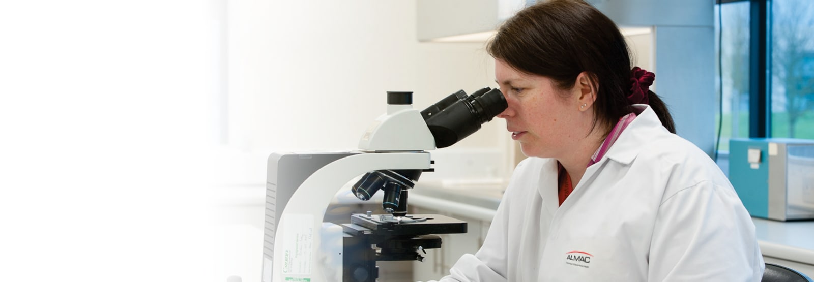 Microbiology Testing Overview
