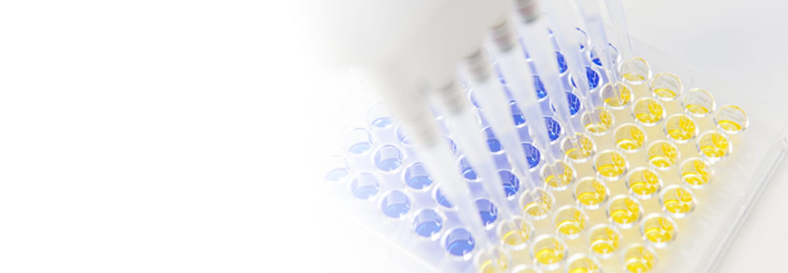 QC release testing of biopharmaceutical products