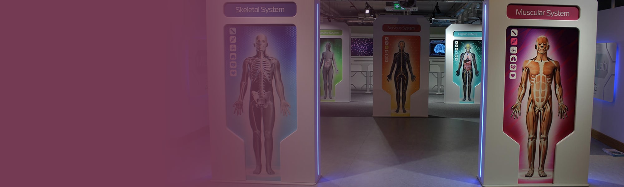 Step into MED-Lab and explore the medical marvel that is the human body!