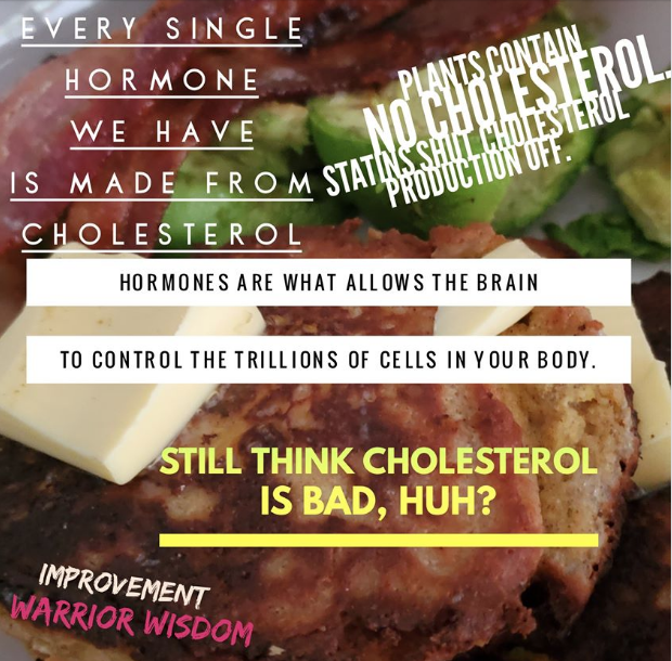 cholesterol and hormones jason yun weight loss new albany, ohio strength training