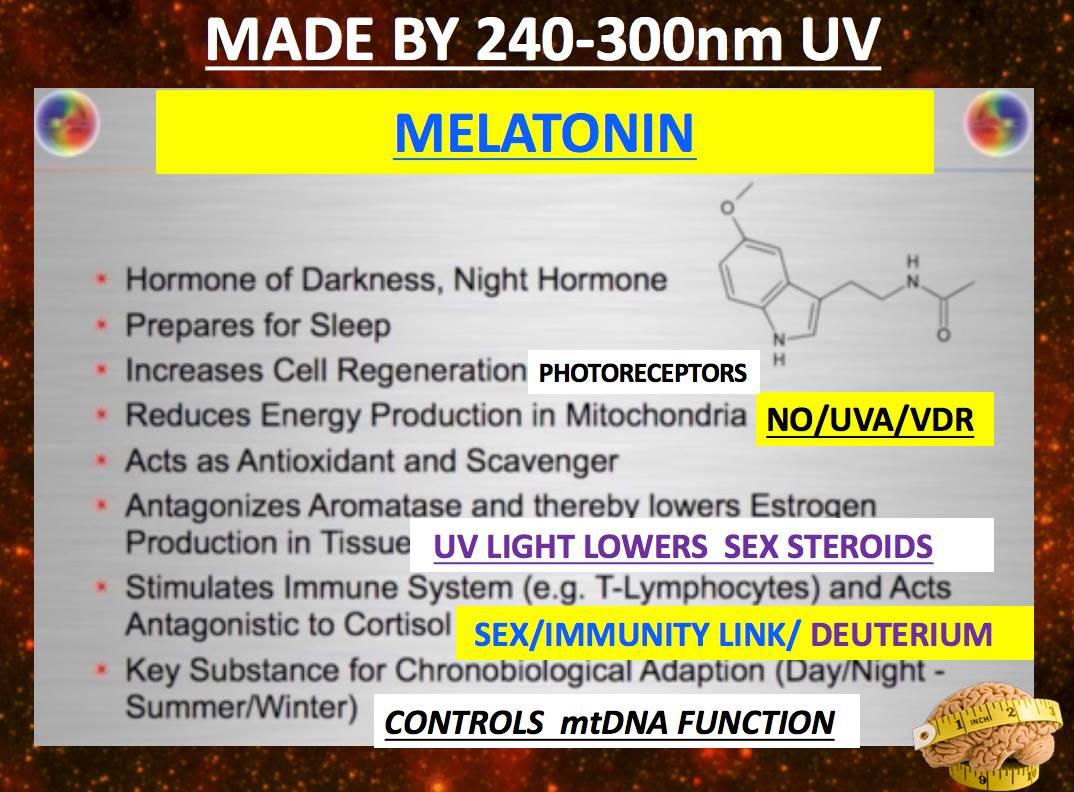 melatonin hormone of darkness made in UVA light circadian health with jason yun. Dr. Jack kruse weight loss