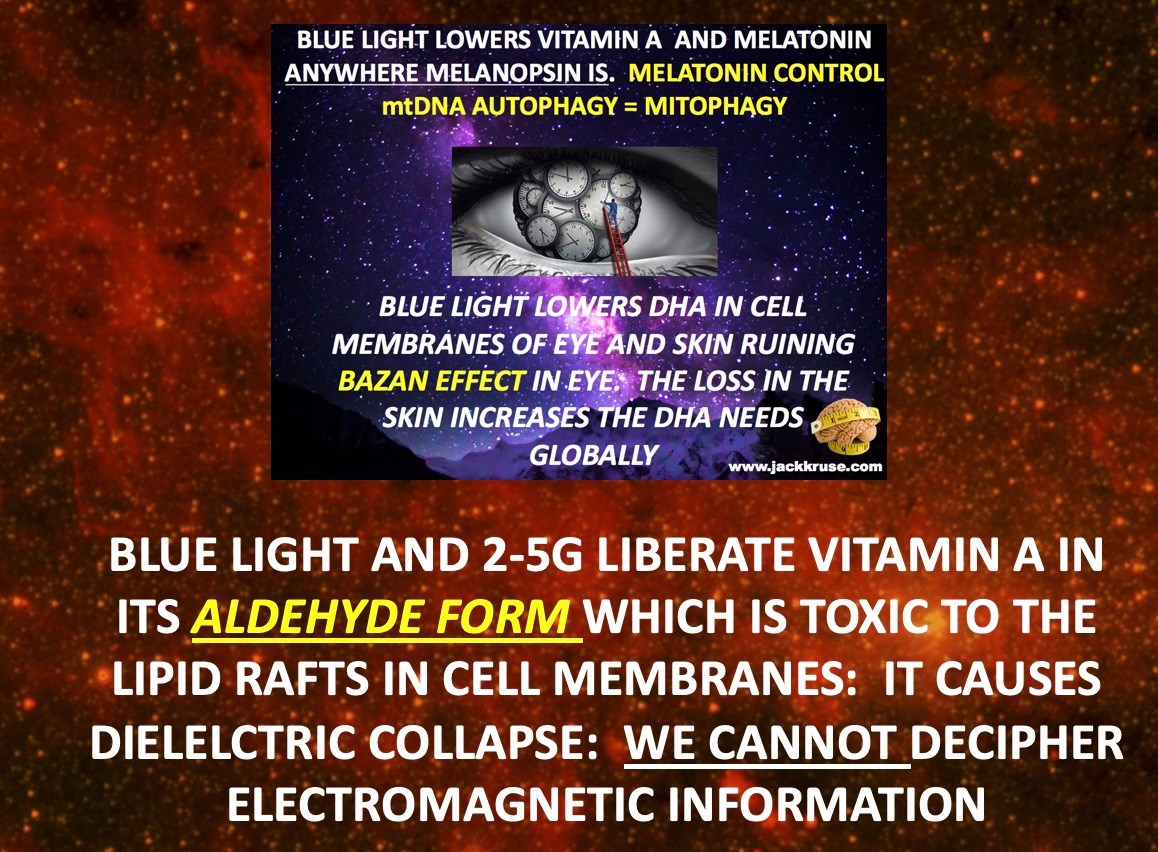 Blue light lowerrs vitamin a and melatonin 5g dr jack kruse jason yun new albany ohio 