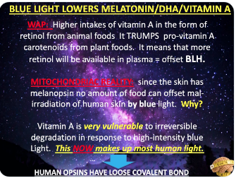 vitamin a animal foods over vegetable melanopsin and skin jack kruse jason yun circadian health 