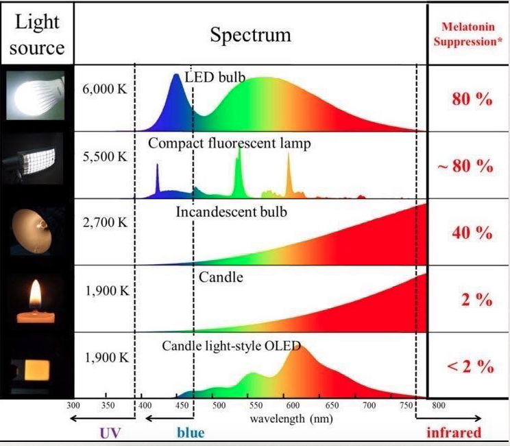 melatonin supression by light bulbs jason yun circadian ryhthm coach dr jack kruse 