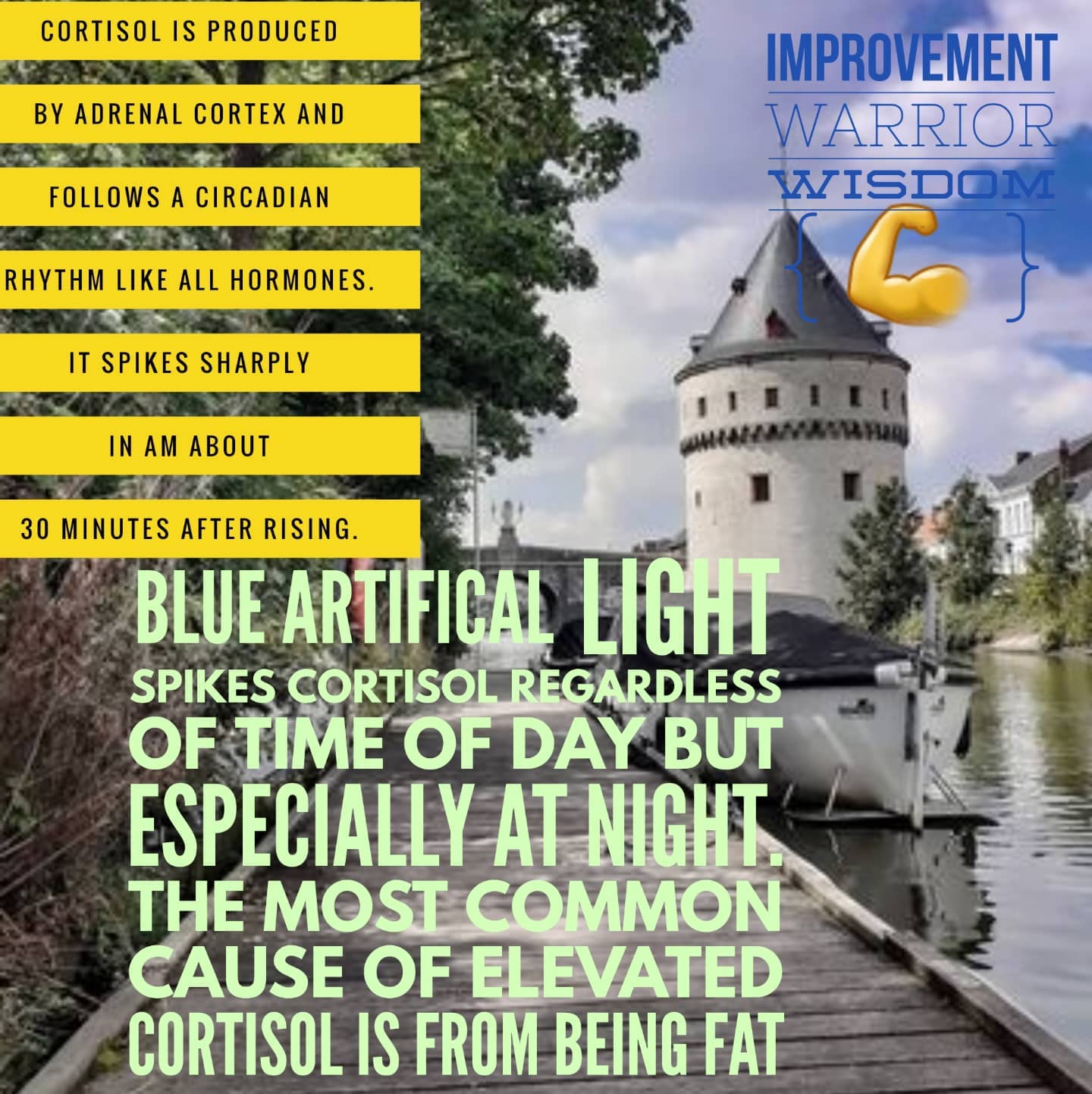 Cortisol and blue light stress hormone jason yun new albany , ohio strength coach jack kruse 