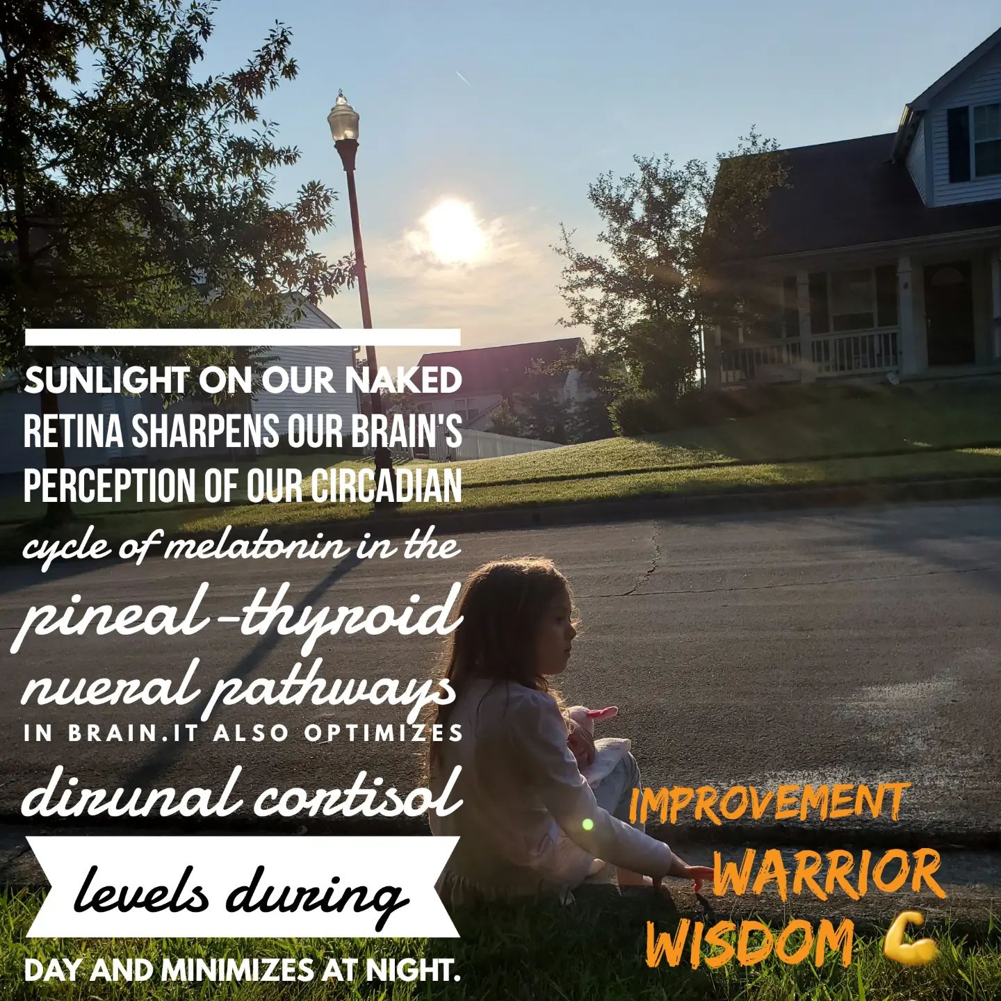 sunlight melatonin and cortisol jason yun jack kruse leptin reset rx 