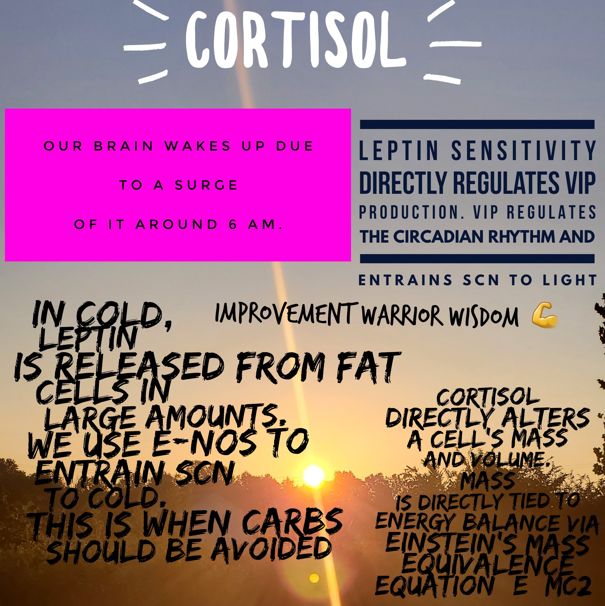 cortisol stress hormone and melatonin leptin jason yun mitochondrial health new albany, ohio 
