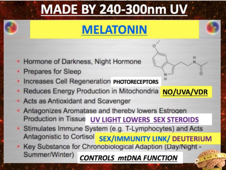 melatonin hormone of darkness made in UVA sunlight jason yun jack kruse mitochondriac 