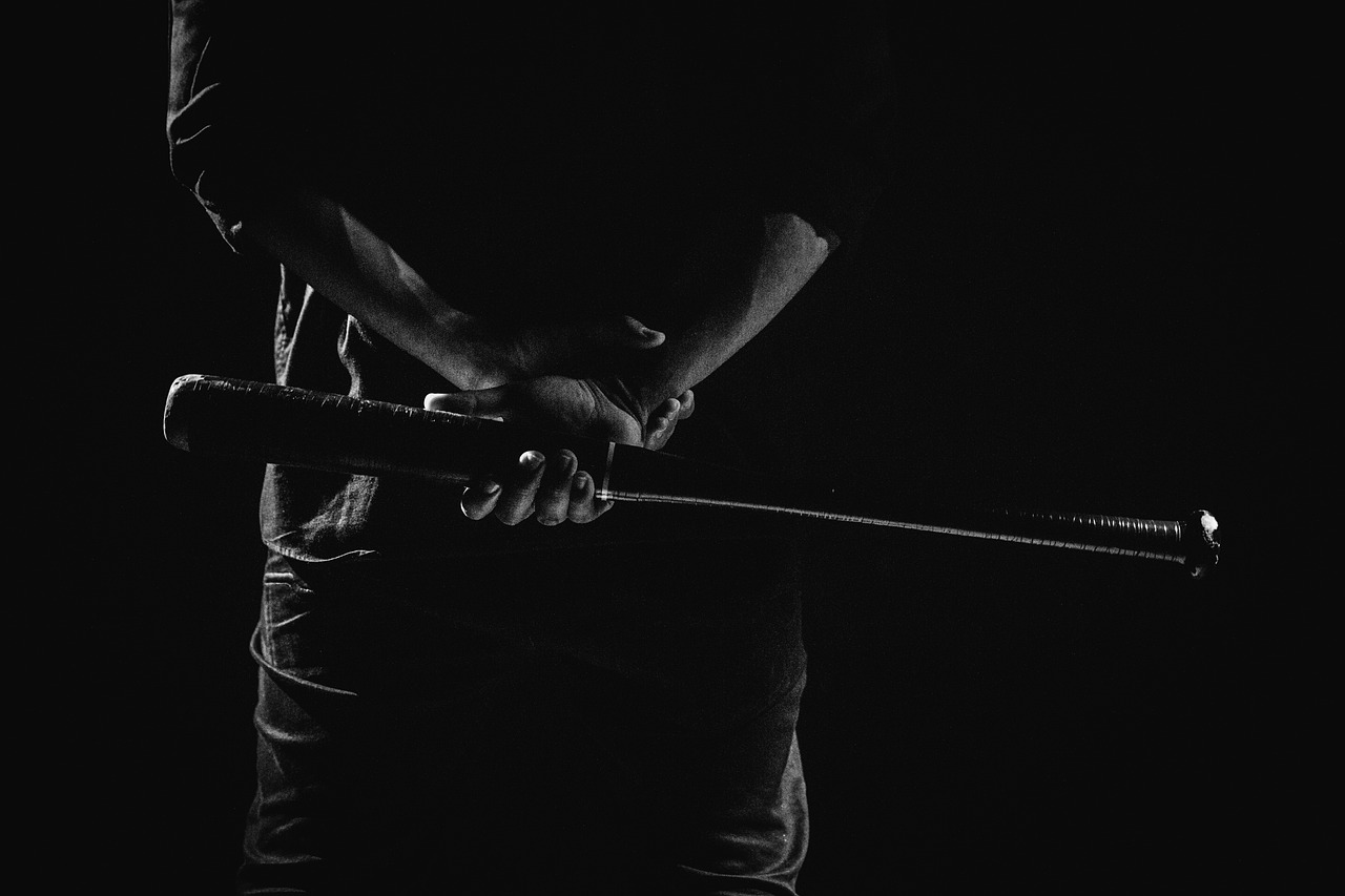 Self defense, bat