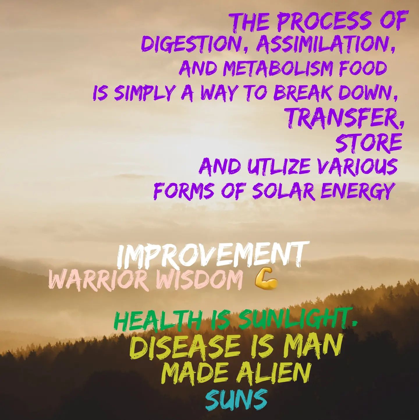 Sunlight is food and digestion and everybody else talks about food and exercise. Mitochondrial health jack kruse 