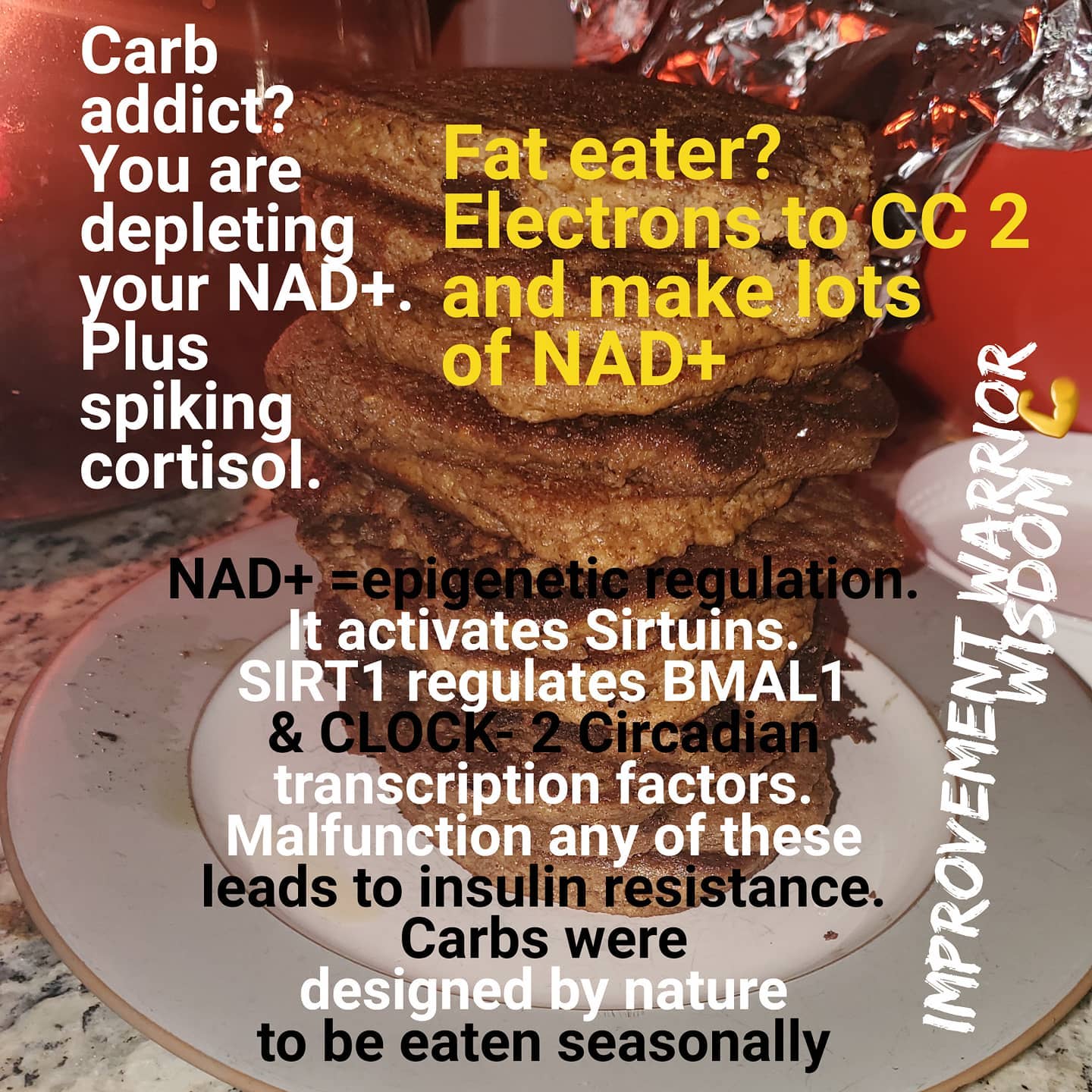 carbs lower NAD+, NAD+/NADH complex electrons jack kruse jason yun new albany ohio