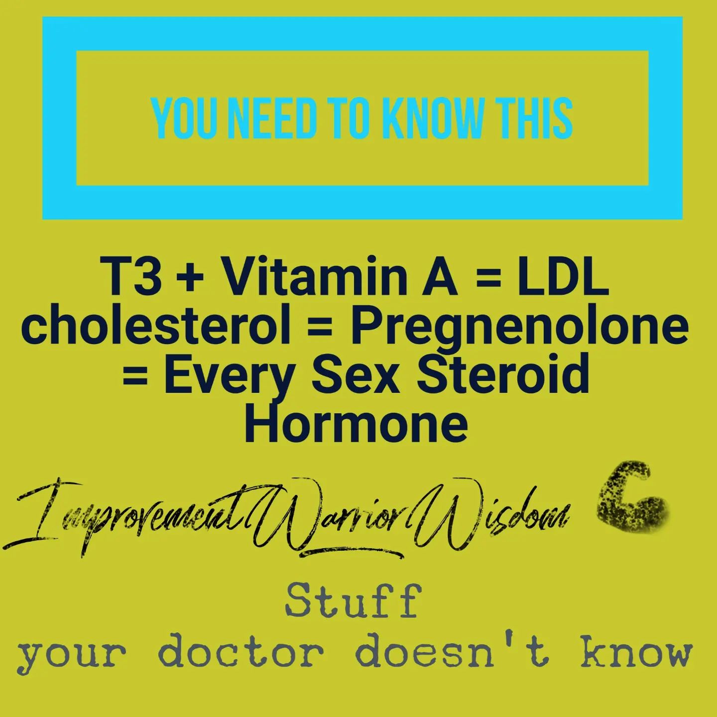 T3 + Vitamin A = LDL Cholesterol = Pregnenolone = Every sex steroid hormone