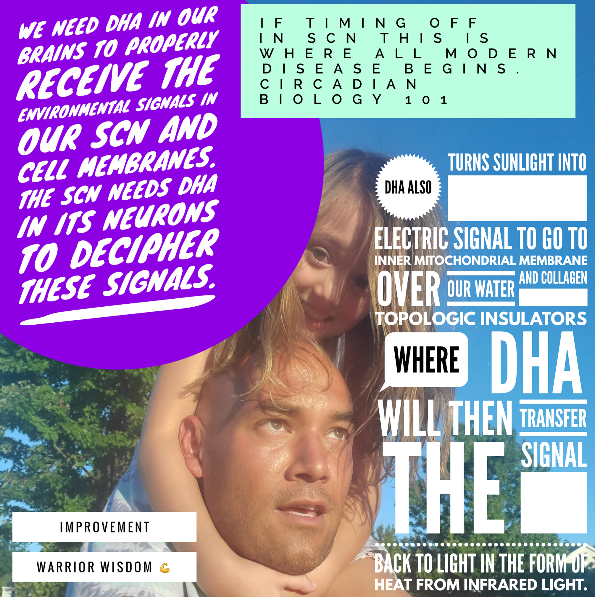DHA neurons brain cell signalling electric sugnal jason yun circadian health coach.