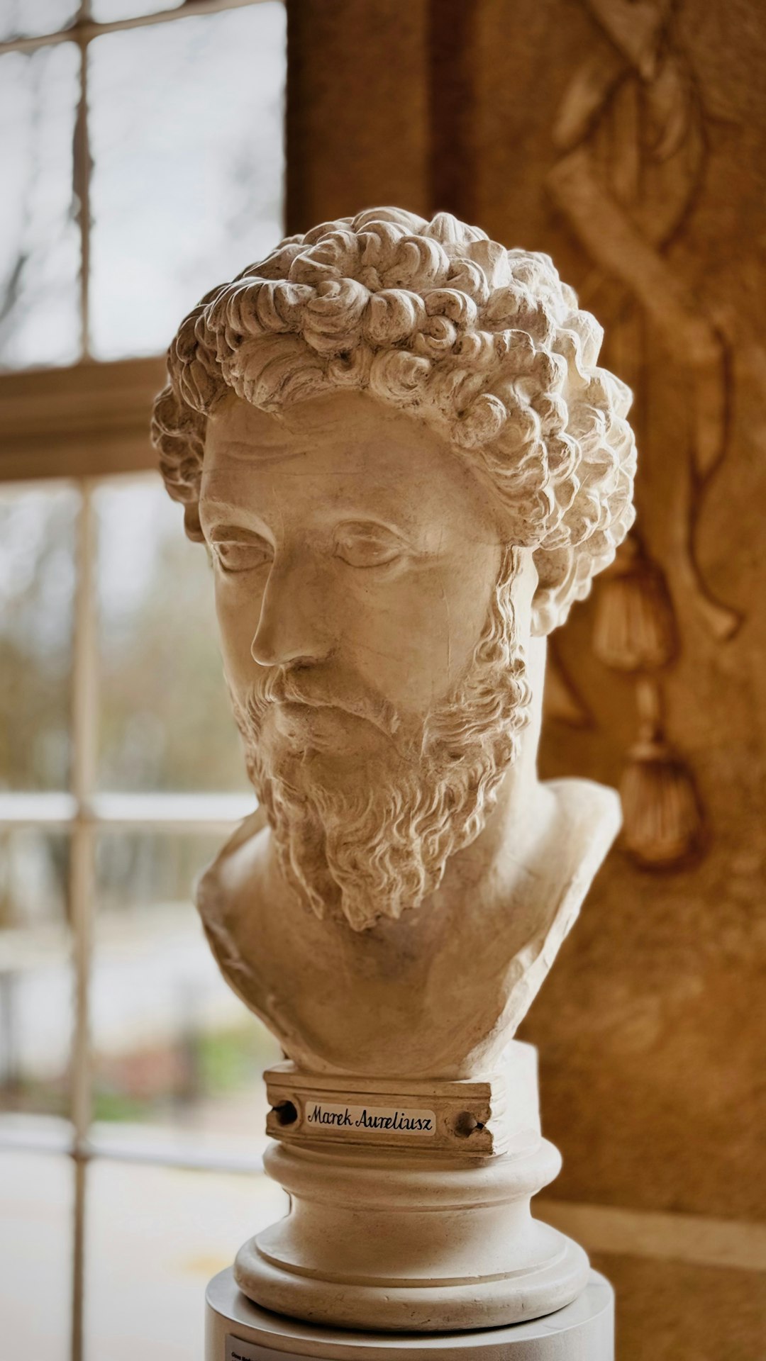 Marcus Aurelius, noted Stoic philosopher