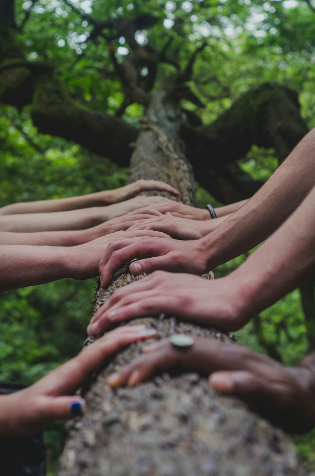 The Power of Community: How to Face Chanllenges Collectively