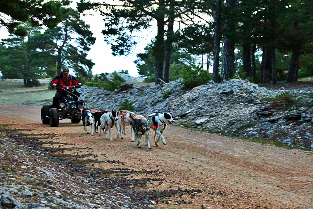 Artículo condroprotectores 3
