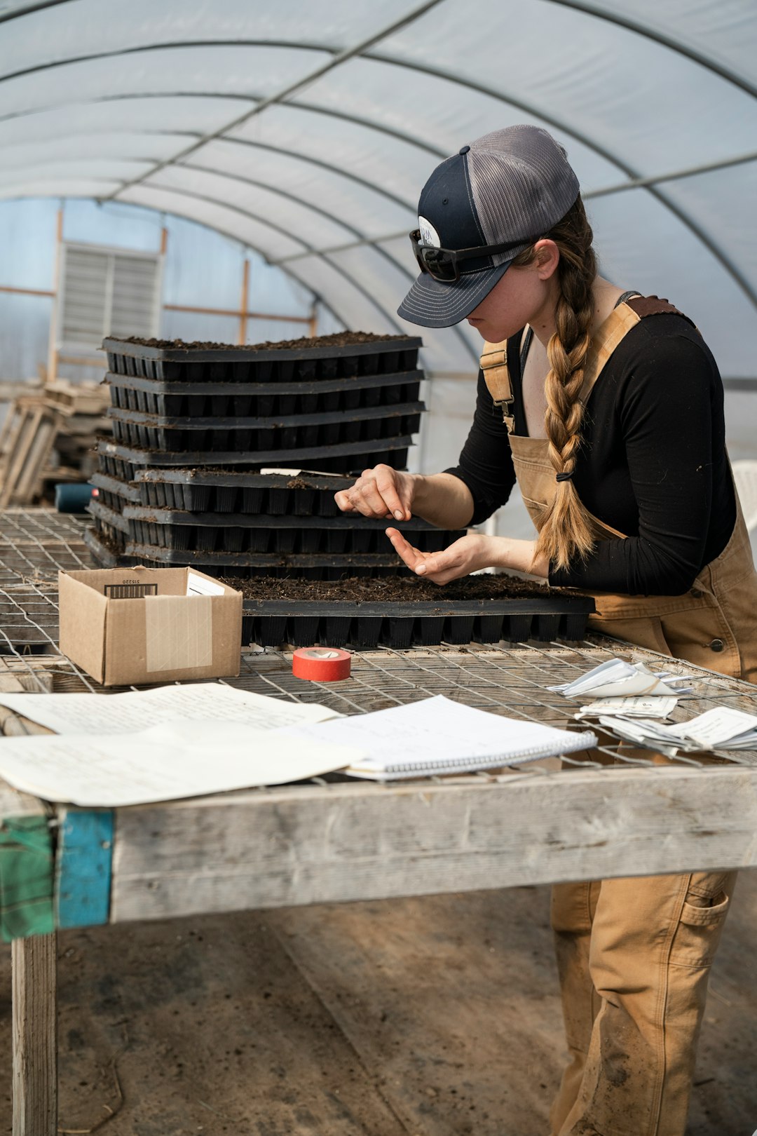 greenhouse, self-reliance