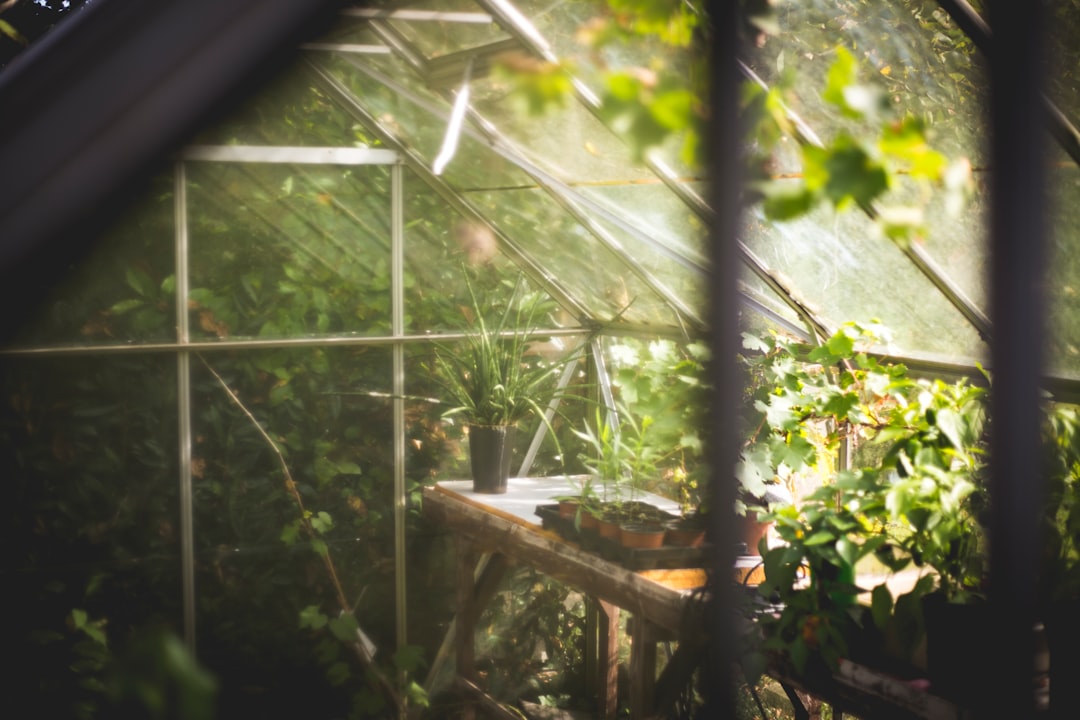 Greenhouse, self-reliance
