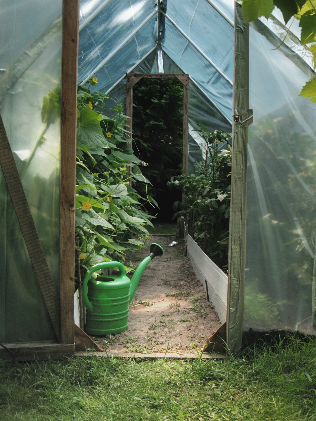 Greenhouse, self-reliance