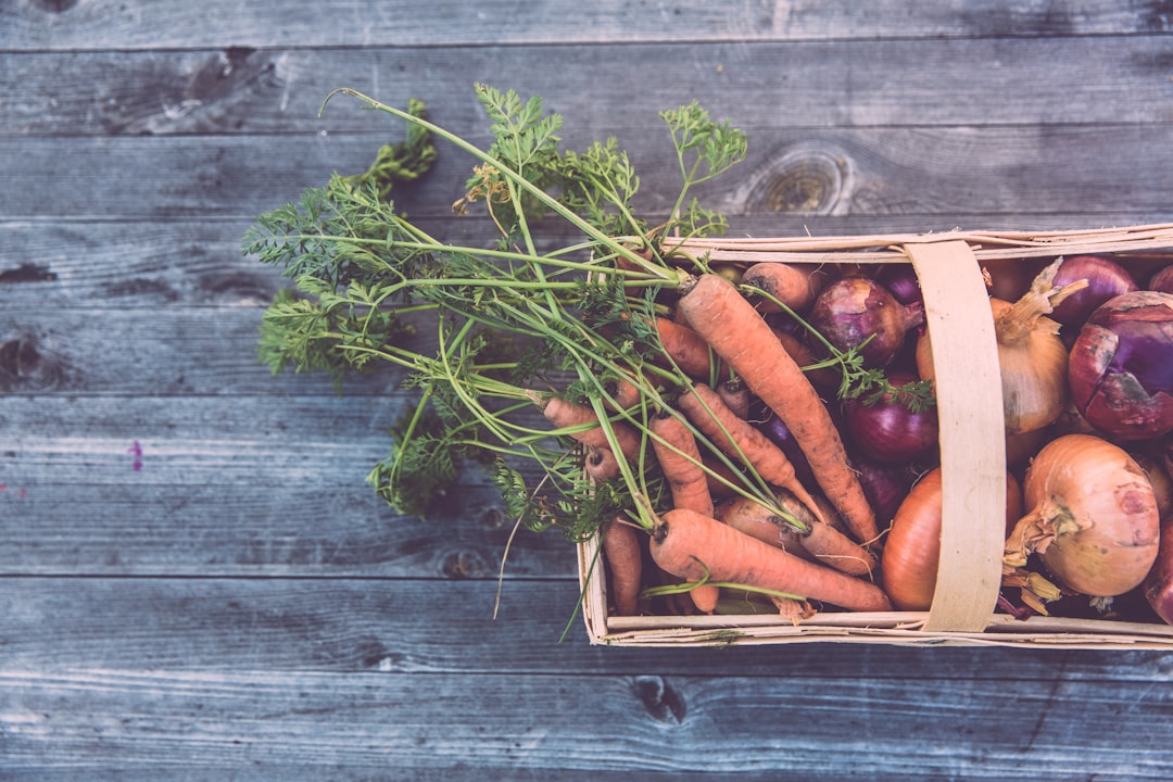Growing Food; new Preppers gardening