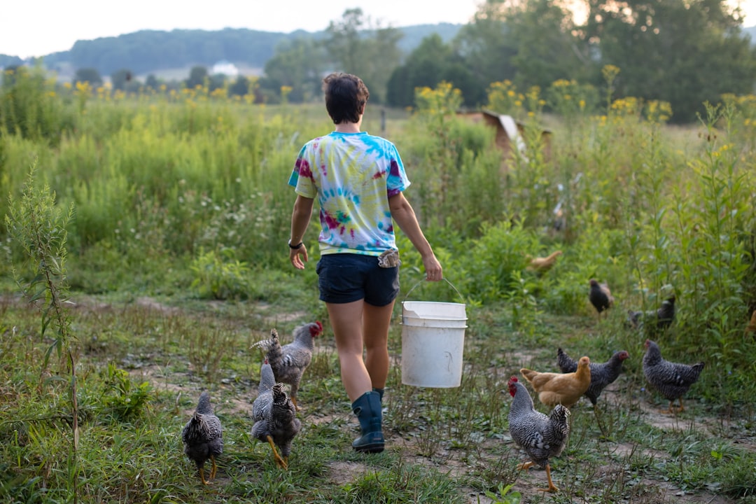 Single Mom Survival: Navigating Life Off The Grid