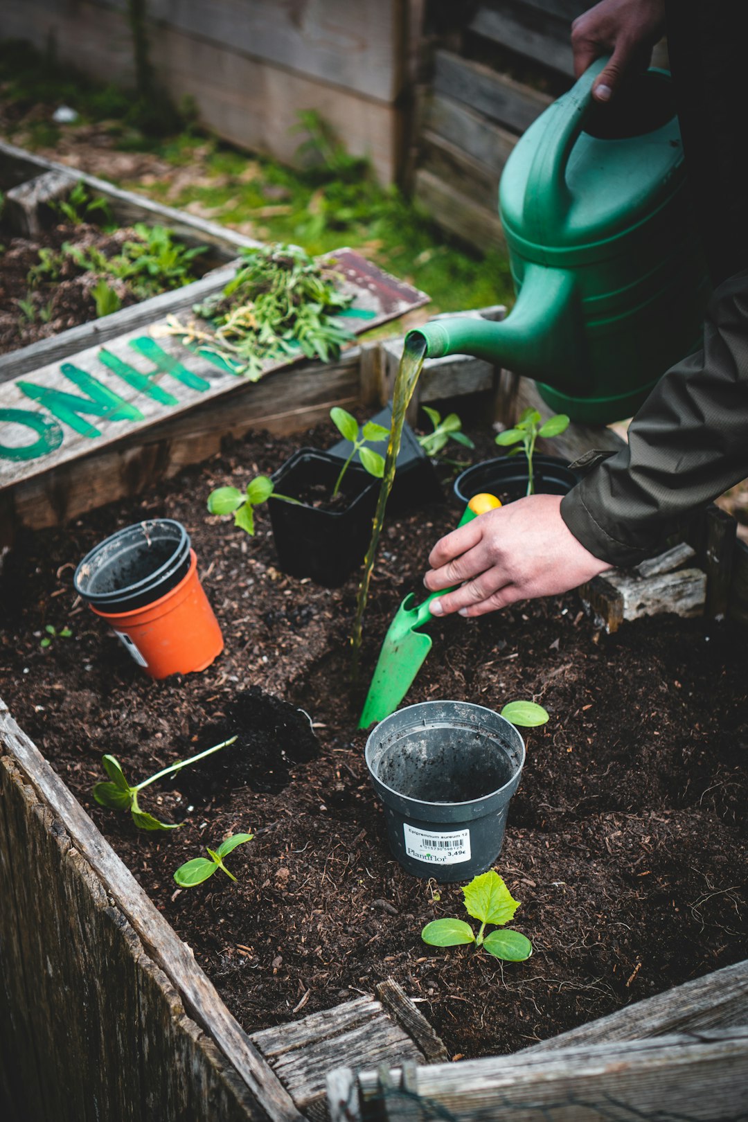 Companion Planting & Food Storage Tips