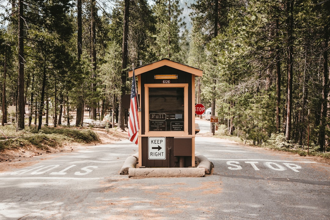 New to Camping? Discover Essential Survival Skills for Emergency Preparedness