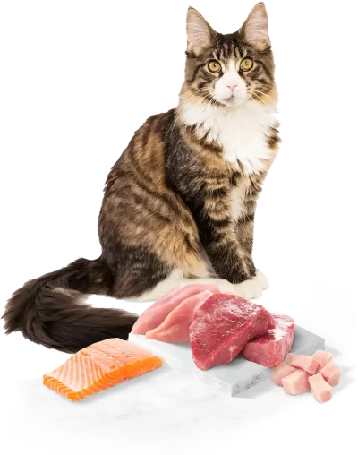 ingredienti (2)