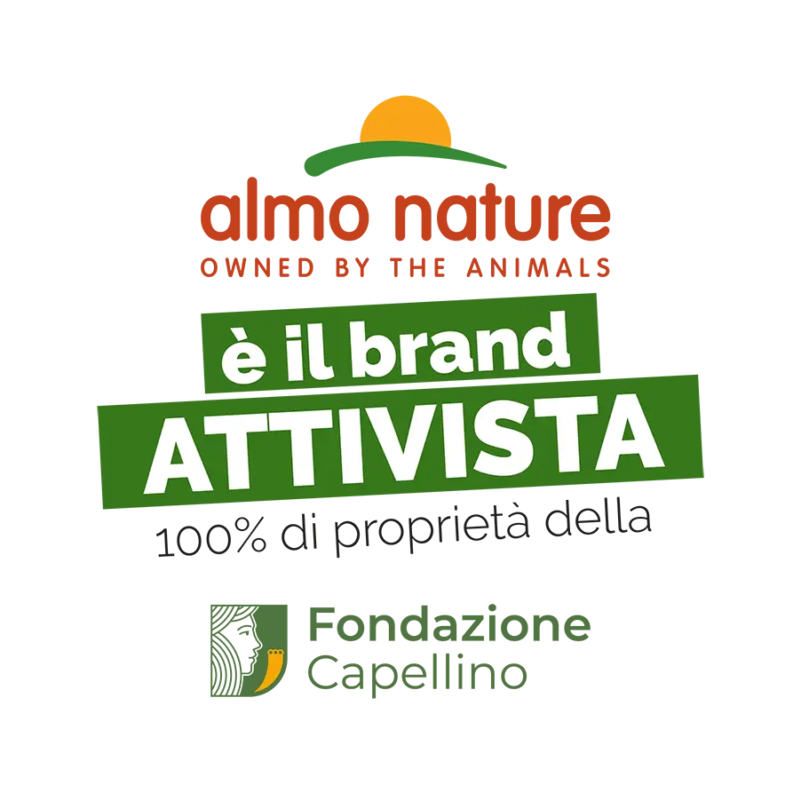 Attivista-2
