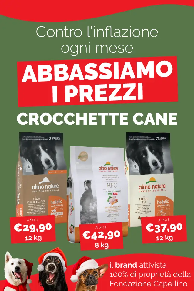 Secco